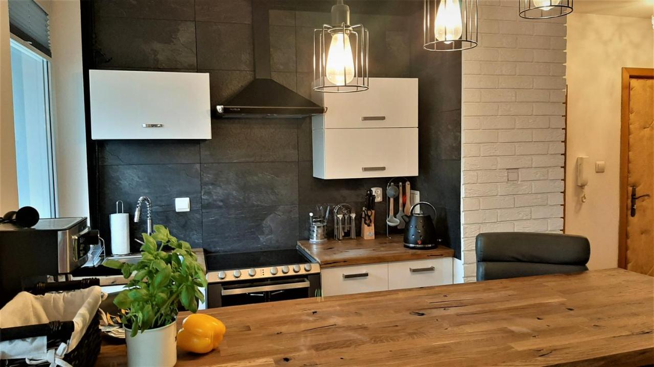 Studio Mila I Nido W Centrum Apartzakop ザコパネ エクステリア 写真