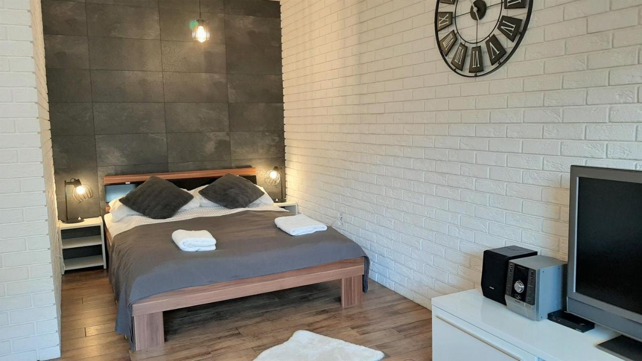 Studio Mila I Nido W Centrum Apartzakop ザコパネ エクステリア 写真