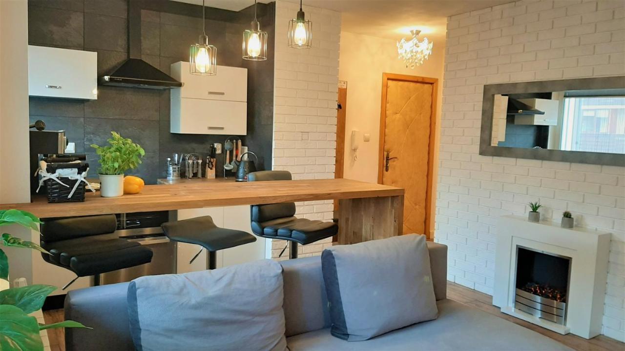 Studio Mila I Nido W Centrum Apartzakop ザコパネ エクステリア 写真