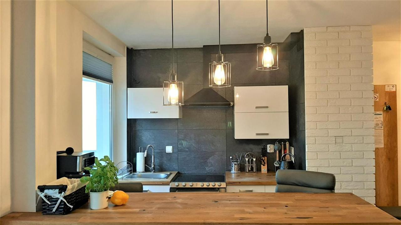 Studio Mila I Nido W Centrum Apartzakop ザコパネ エクステリア 写真