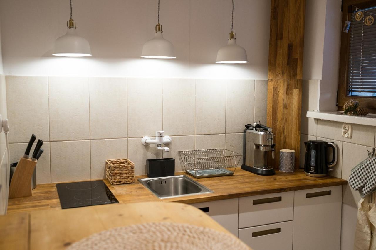 Studio Mila I Nido W Centrum Apartzakop ザコパネ エクステリア 写真