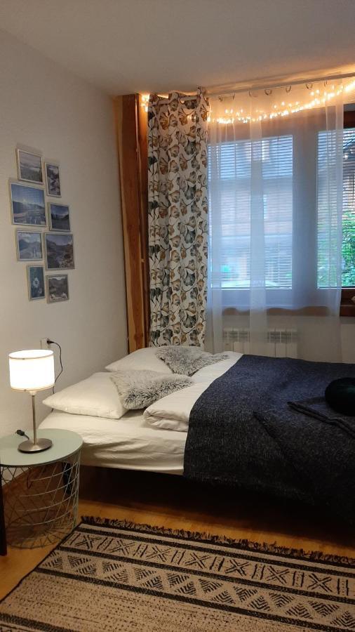 Studio Mila I Nido W Centrum Apartzakop ザコパネ エクステリア 写真