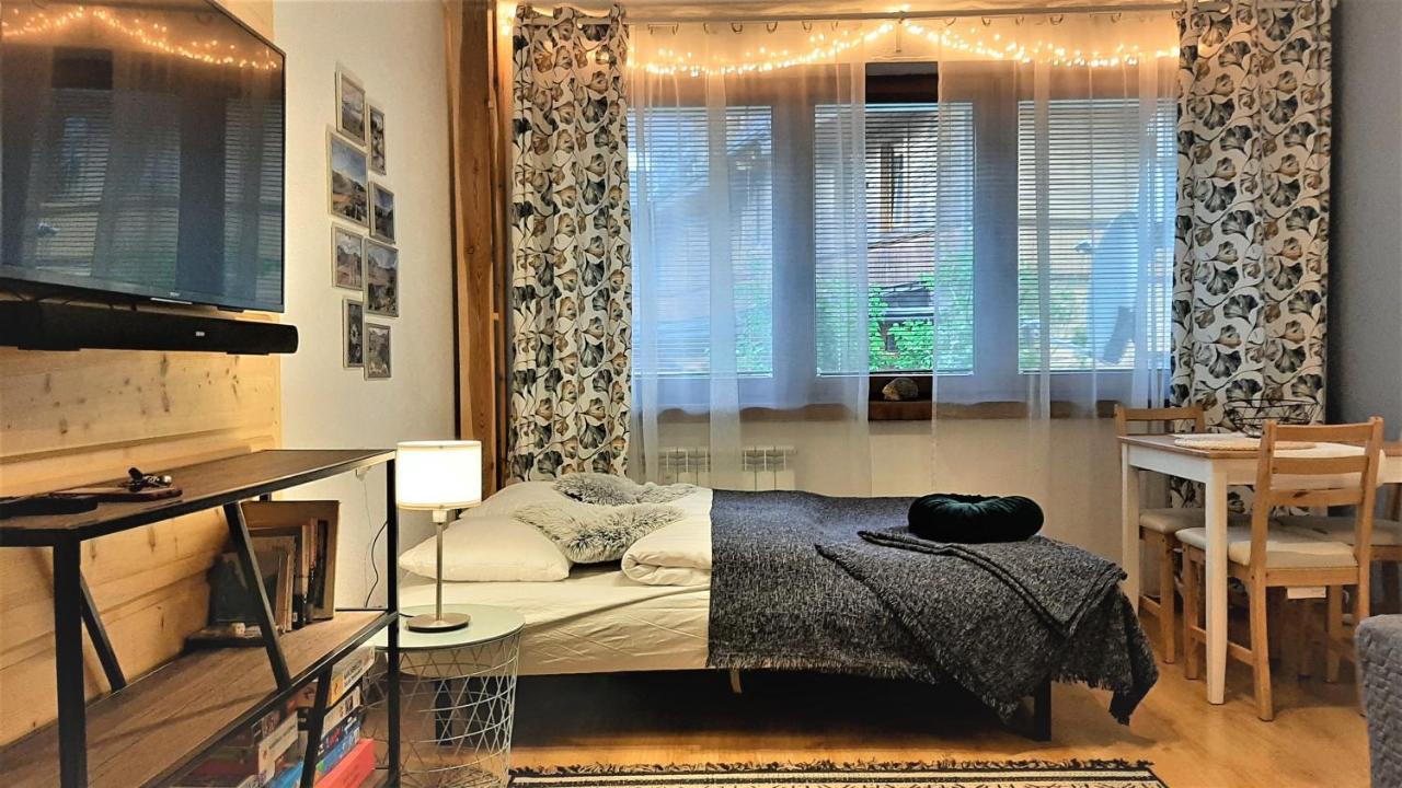 Studio Mila I Nido W Centrum Apartzakop ザコパネ エクステリア 写真