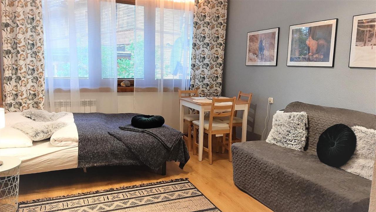 Studio Mila I Nido W Centrum Apartzakop ザコパネ エクステリア 写真